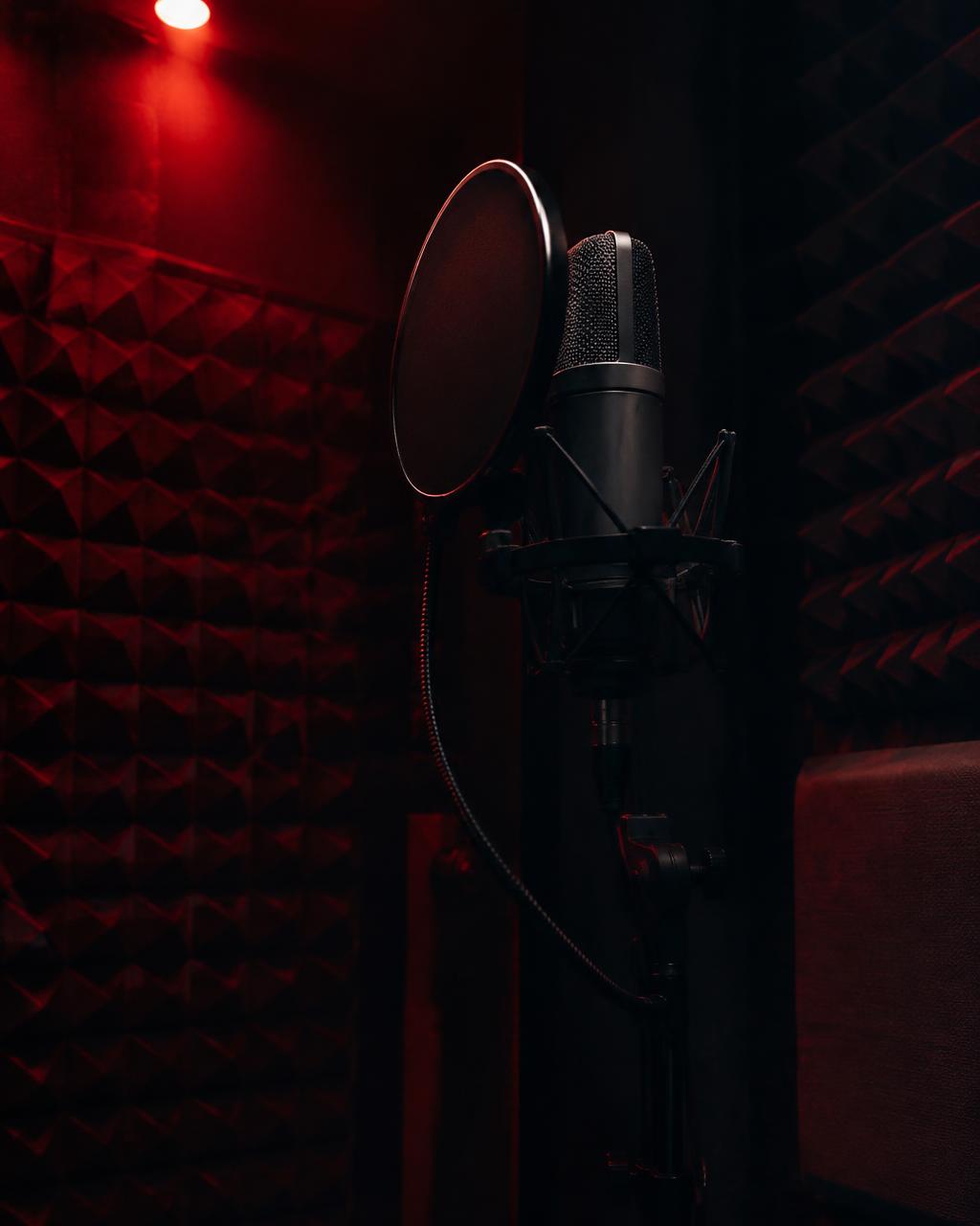 Vocal booth with condenser microphone